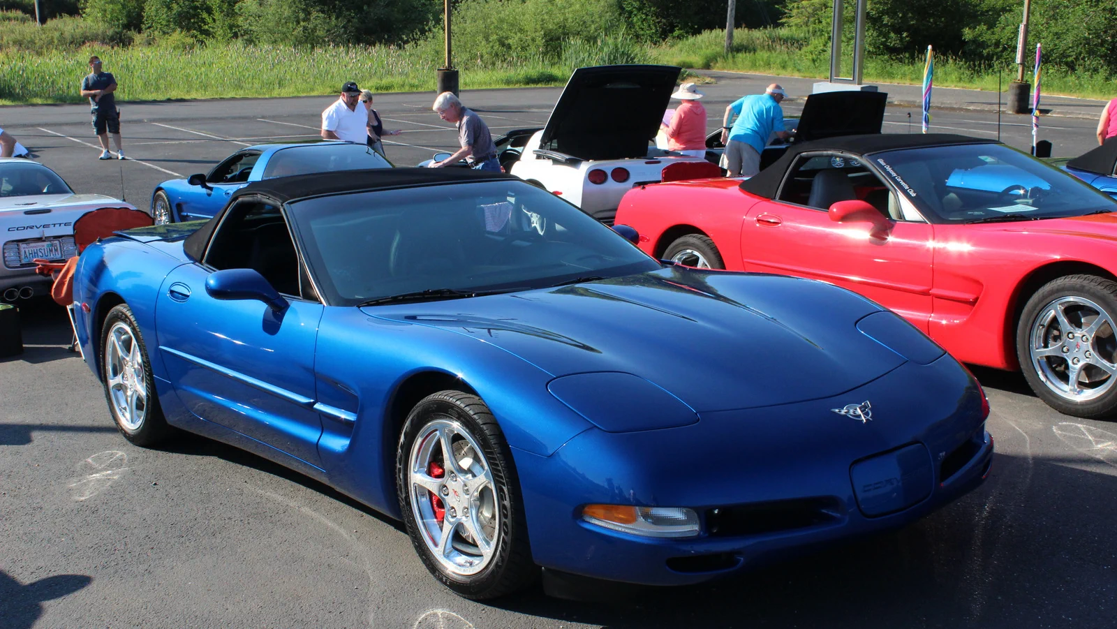 Click to Enlarge-Esc to Close Corvette Generations/C5/C5 2003 Blue Anniv Edn MS.webp
